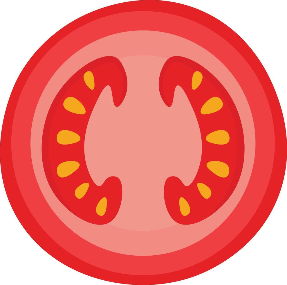 Sliced Ripe Red Tomato vector