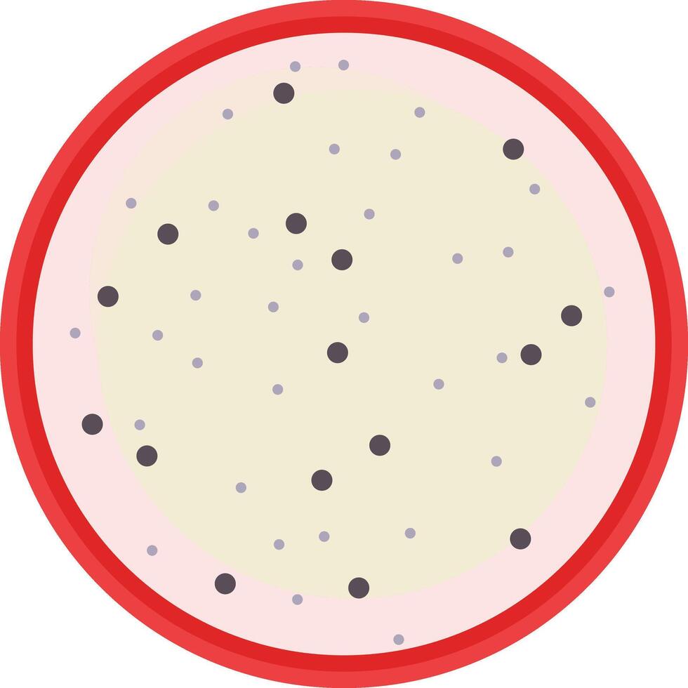 Dragonfruit Slice in Half vector