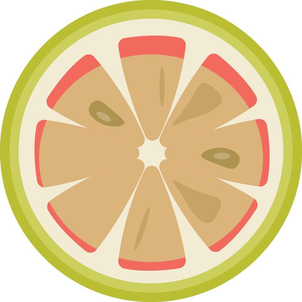 Tangy Green Grapefruit Slice vector