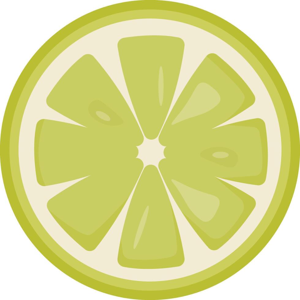Zesty Green Lime Slice vector