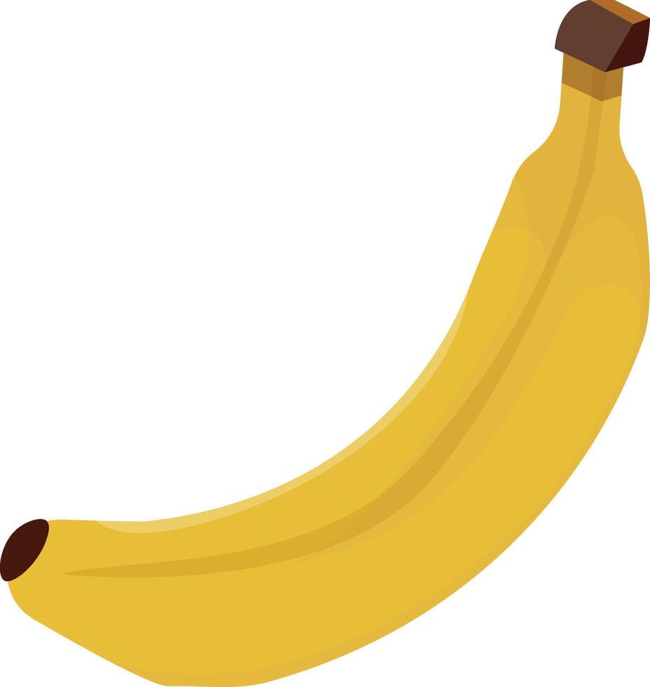 Ripe Yellow Banana vector