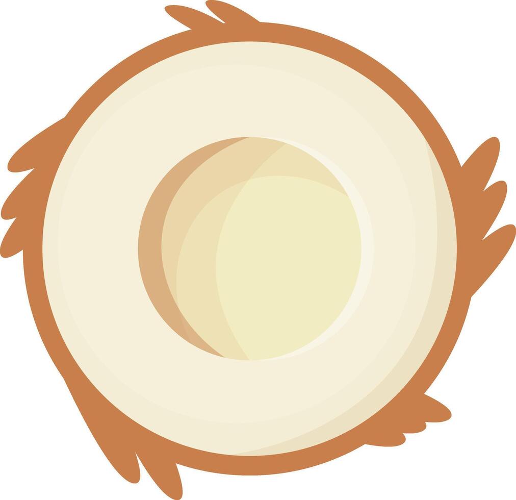 Coconut Fruit Slice vector