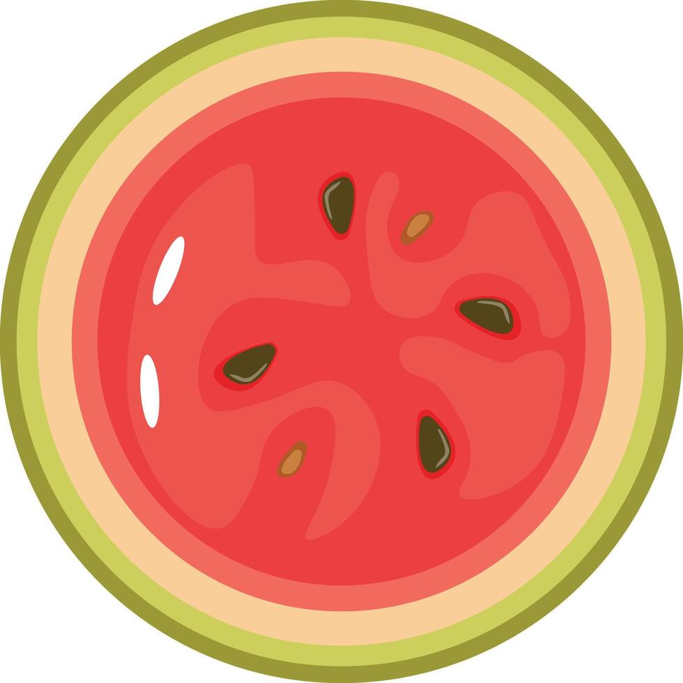 Fresh White Coconut Section vector