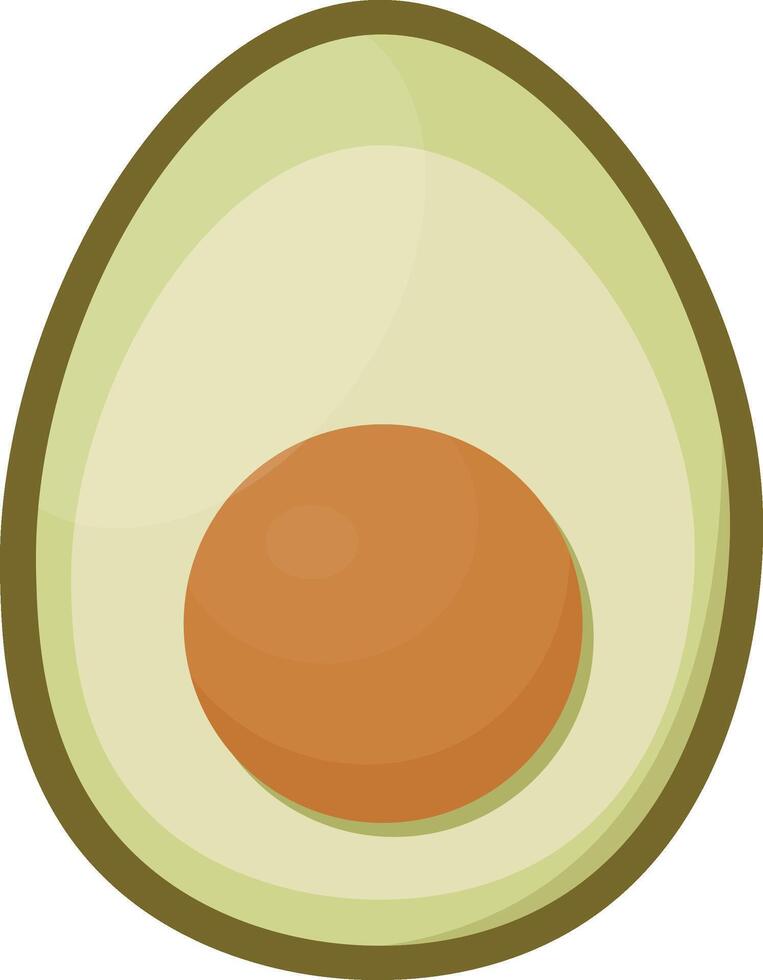 Sliced Green Avocado vector