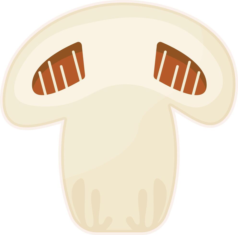 Sliced White Mushroom vector