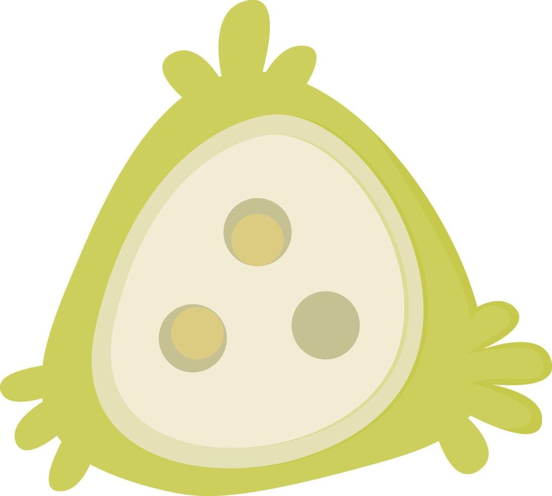 Sliced Green Veggie vector