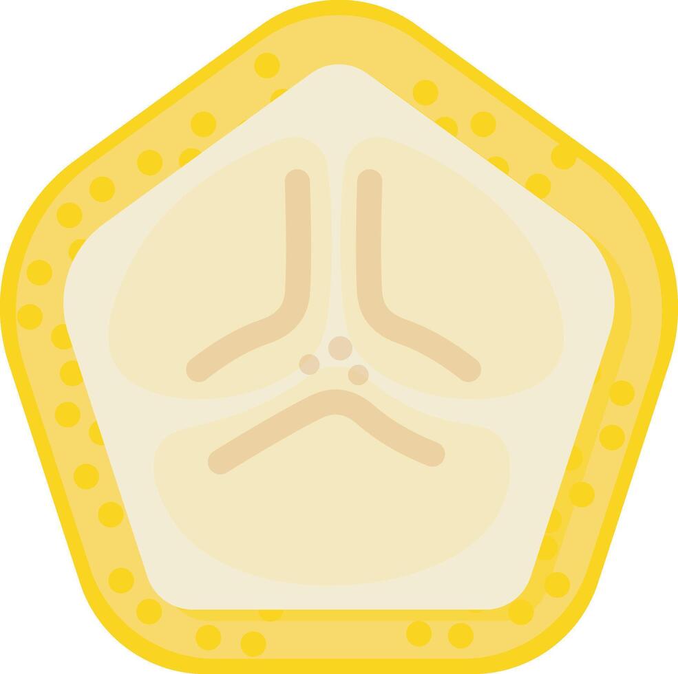Fresh Green Guava Slice vector