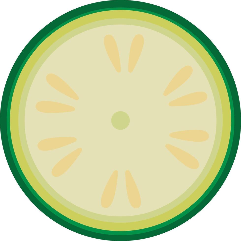 Sliced Green Zucchini vector