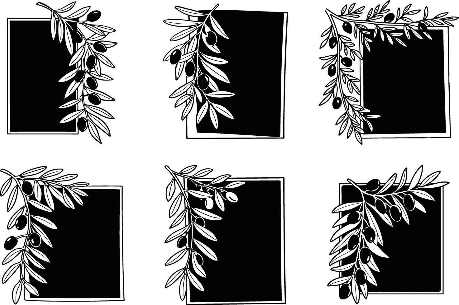 Elegant frames with olive branch border graphic elements set vector