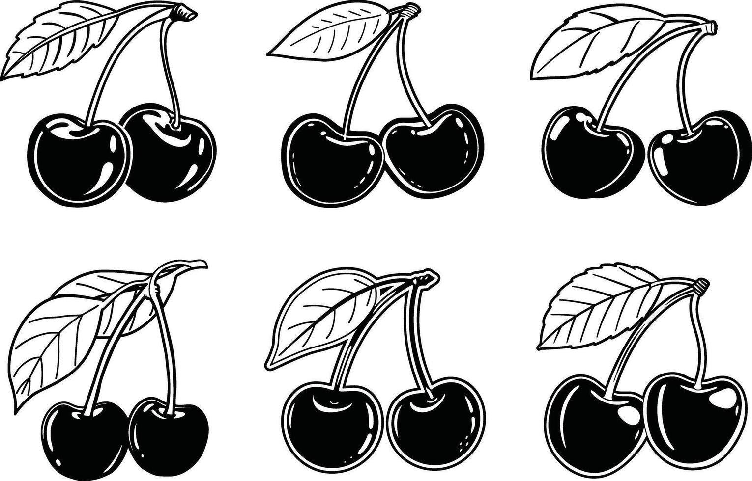 Black and white cherry illustration ripe fruit with leaves detailed outlines vector