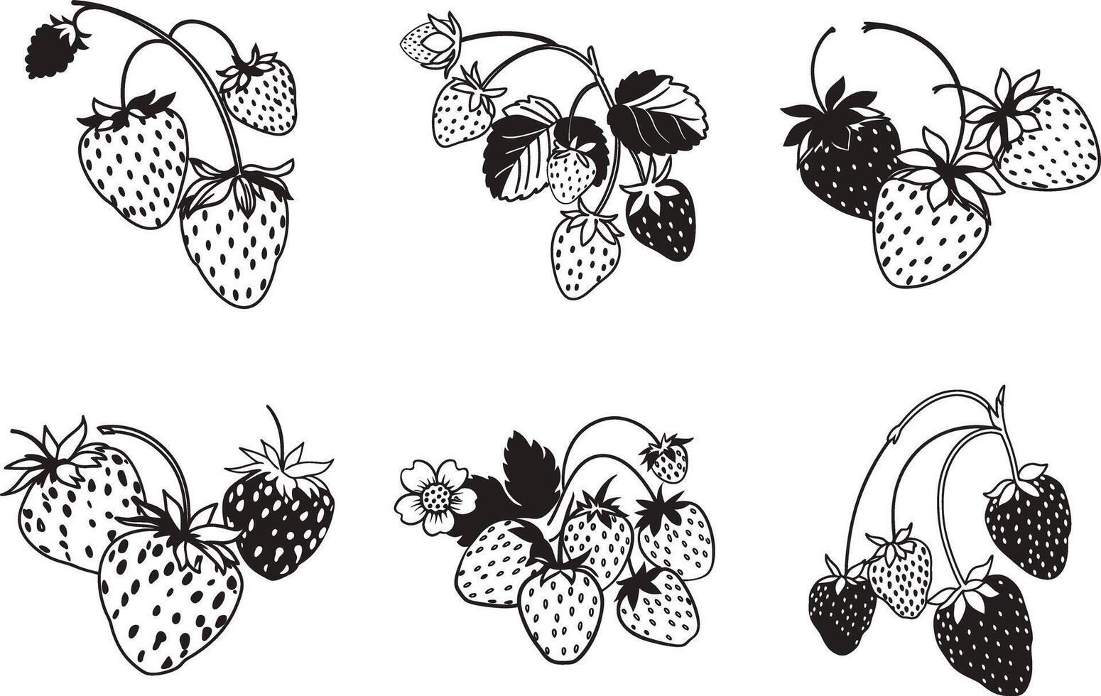 Strawberry fruit illustration with branches and leaves in black and white vector