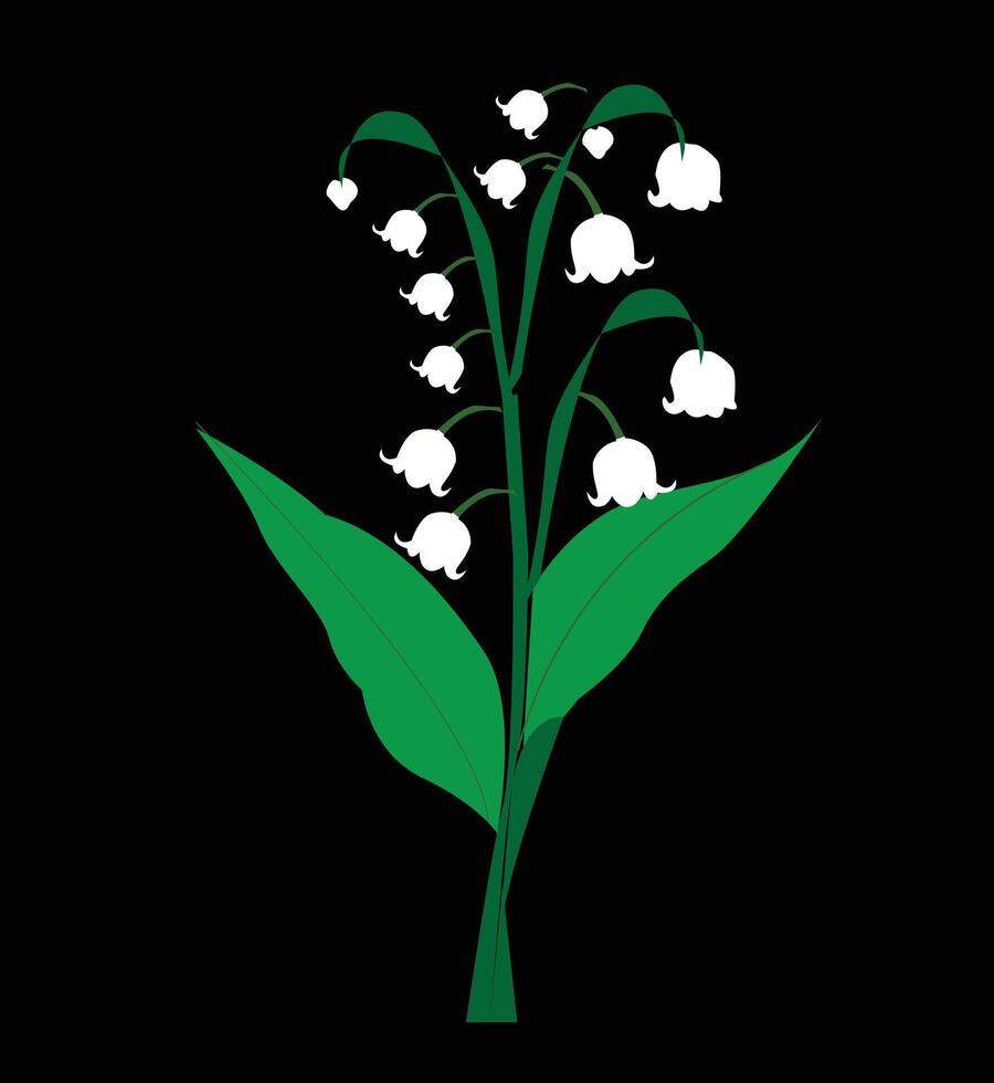 Lily Valley Flower vector