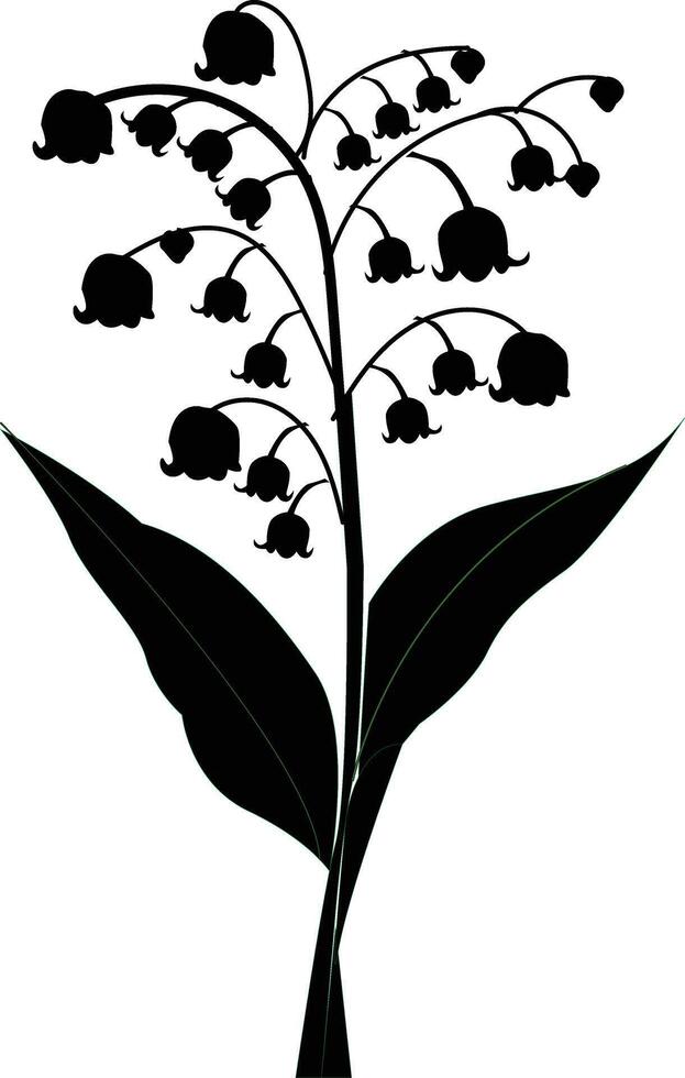 Lily Valley Flower Silhouette Image vector