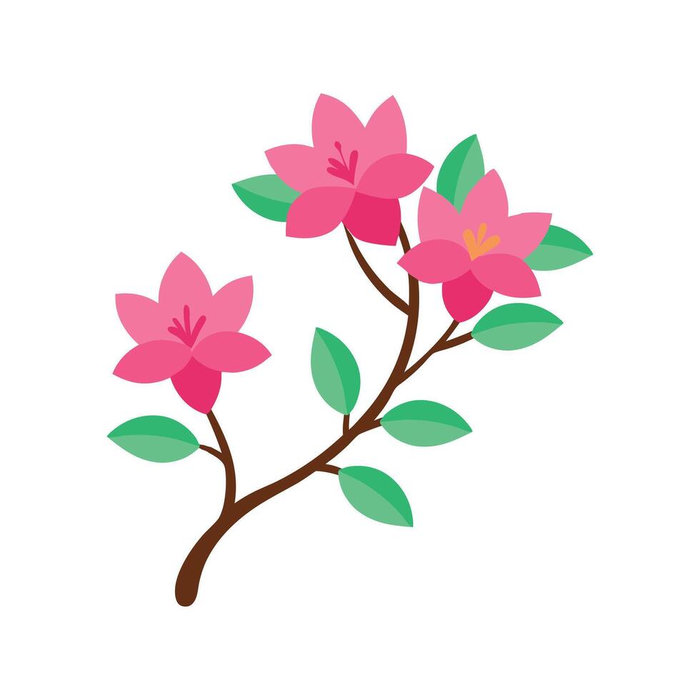 Azalea Flowering Branch Botanical Illustration vector