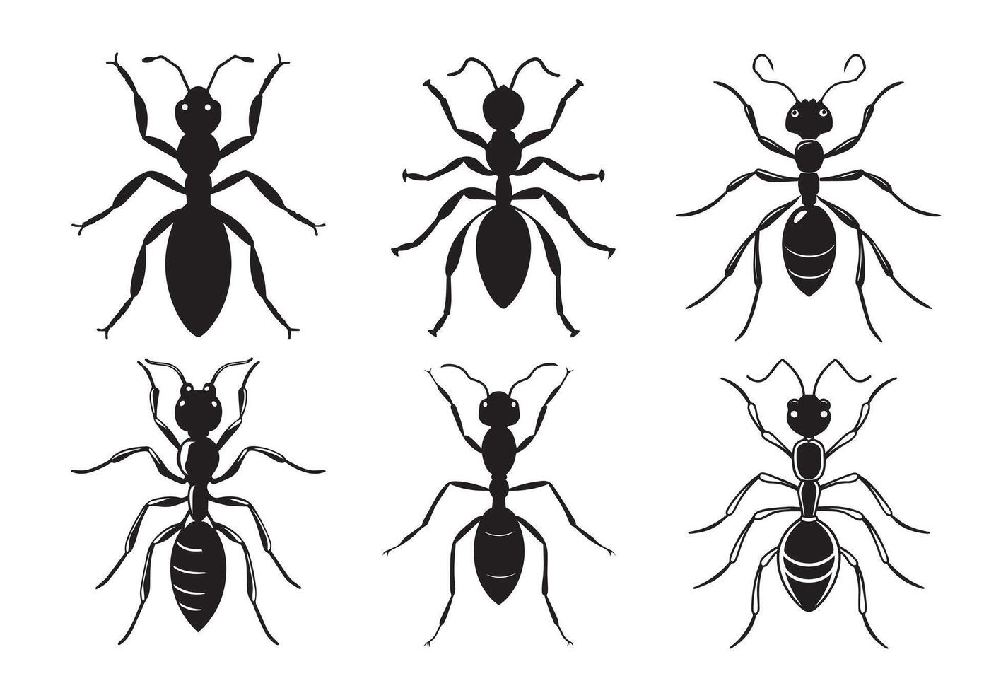 Ant silhouette Set vector