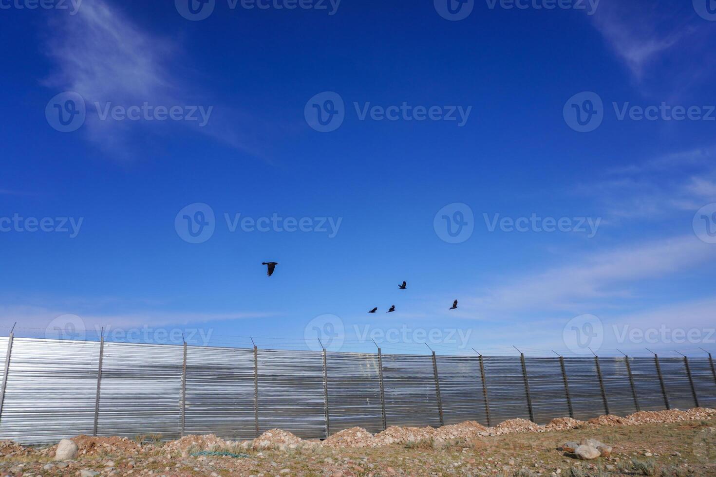Birds Over Metallic Barrier photo