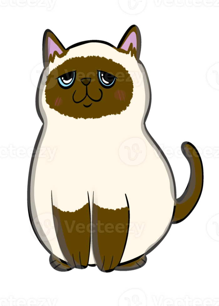himalayan cat sticker png