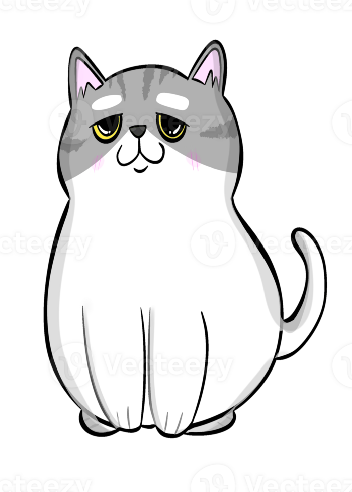 white and grey cat sticker png