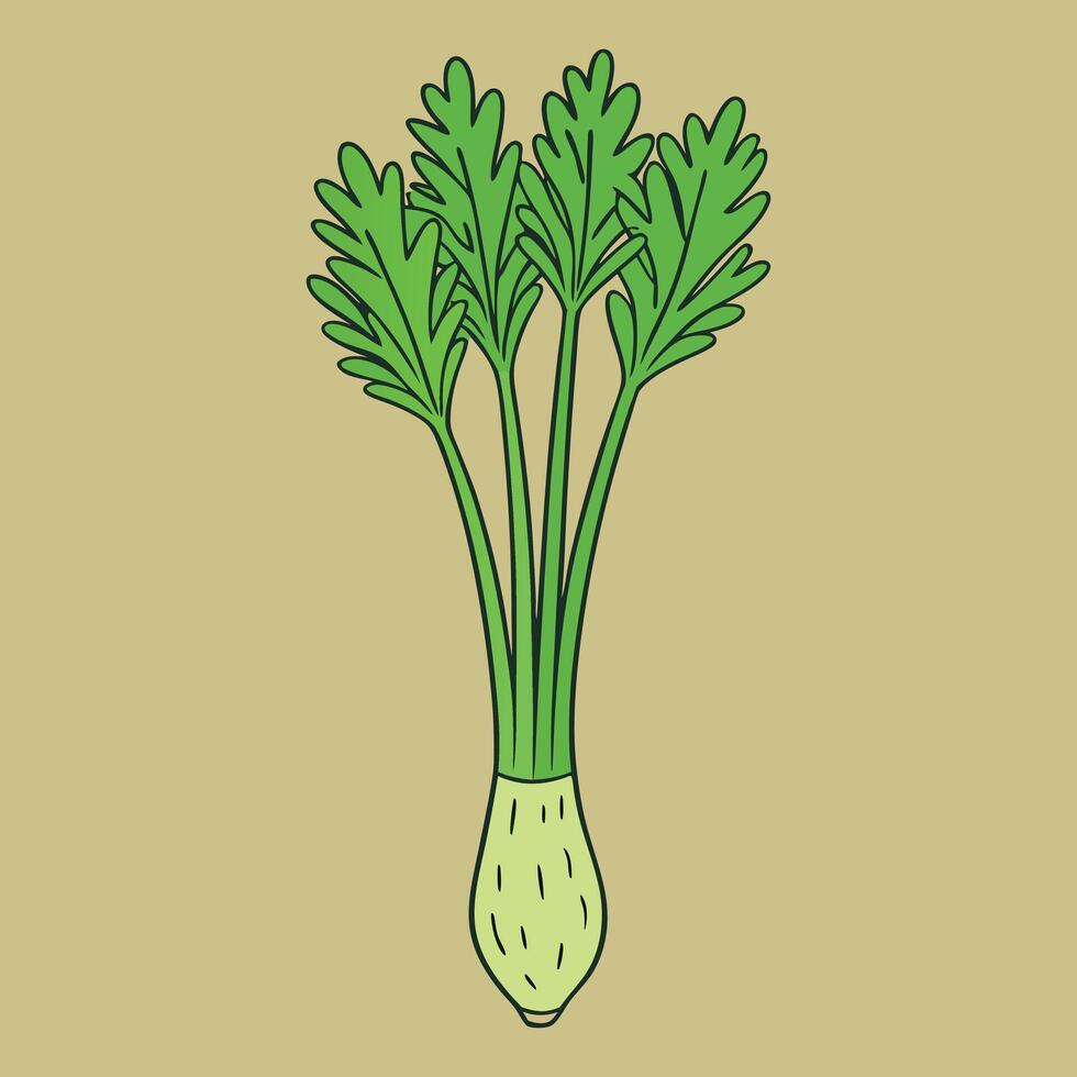 Fresh, Green Celery Stalk and Leaves Illustration vector