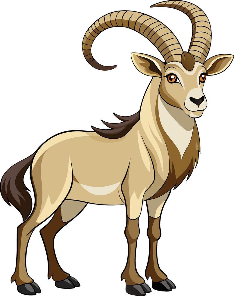 A Ibex Illustration vector