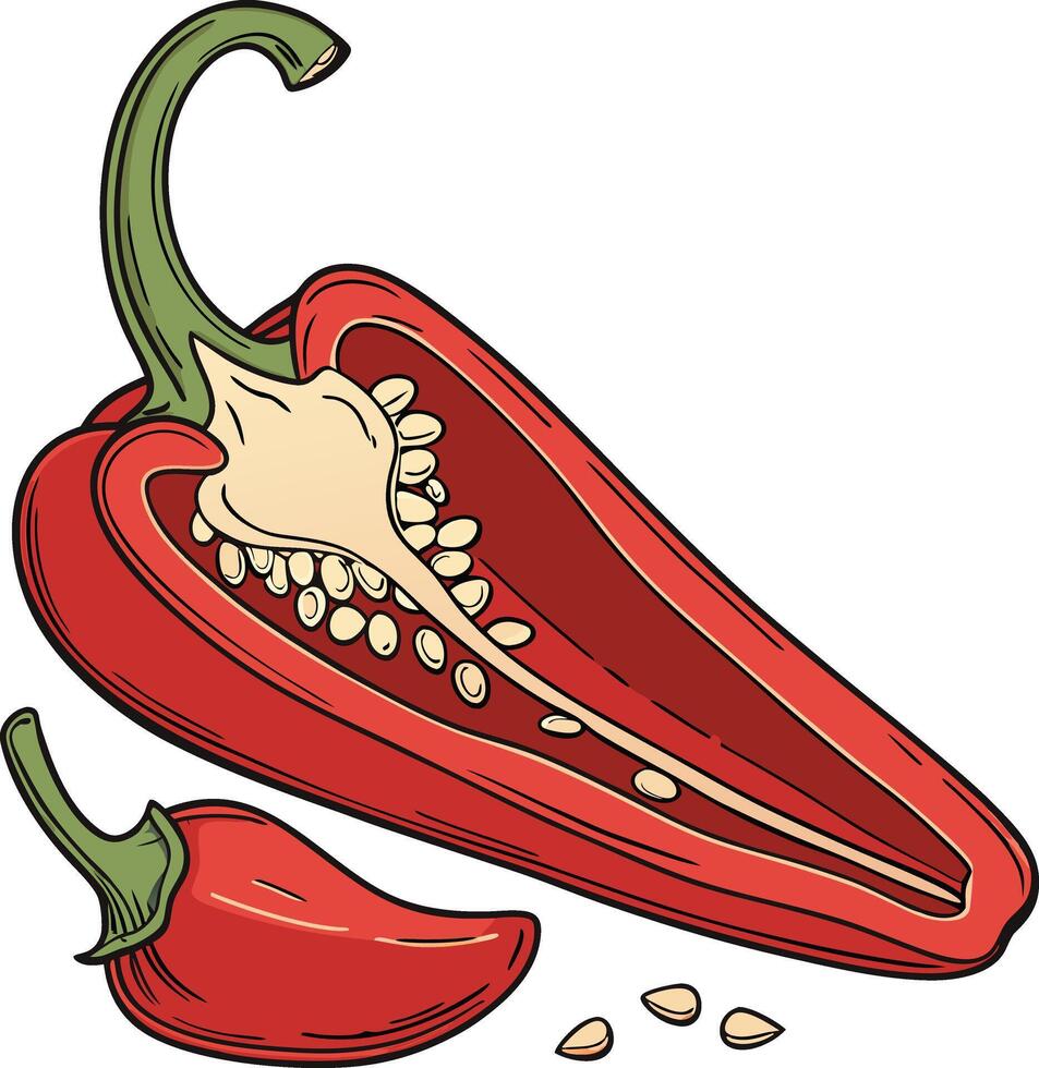 Chili pepper cut in half with seeds vector