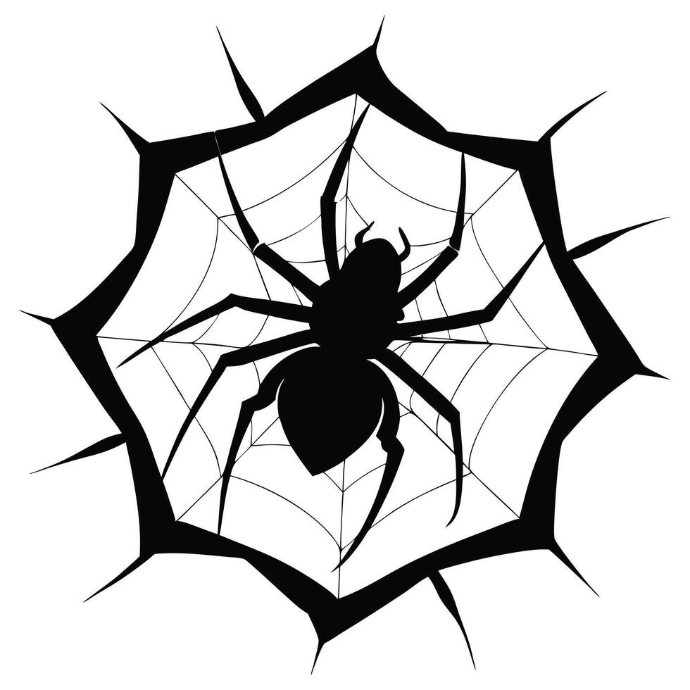 spider and torn web vector