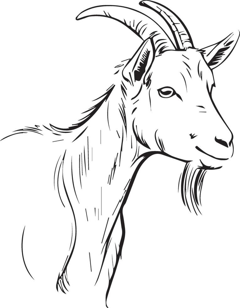 line art of goat vector