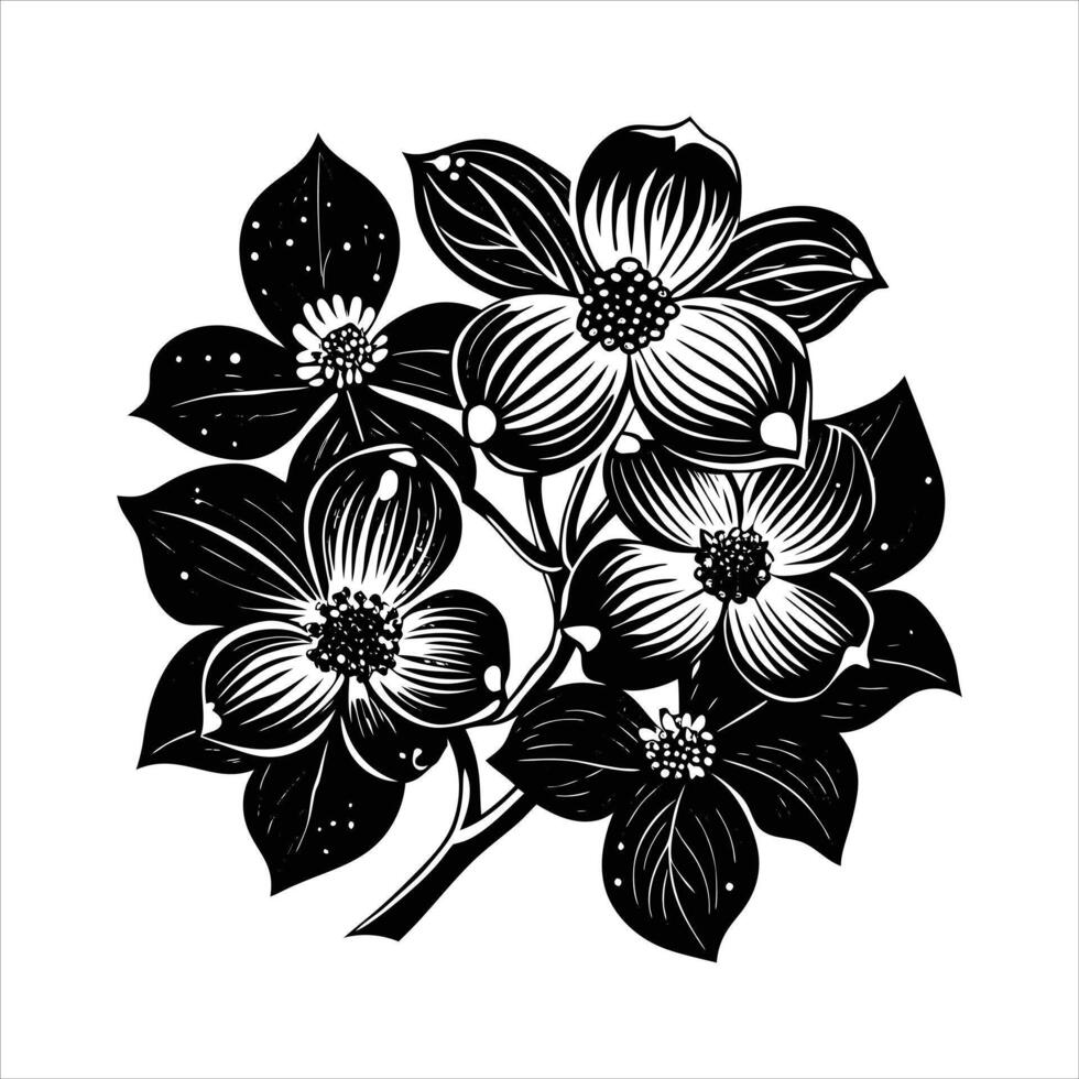 Pink Flowering Dogwood vector