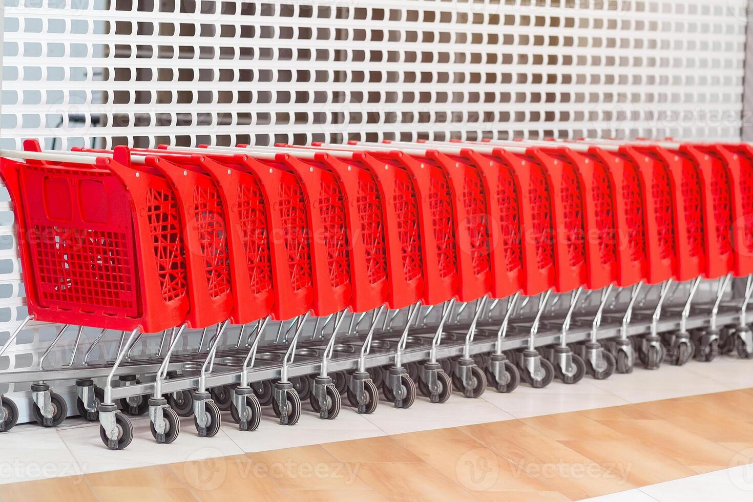 Red shopping carts in a row in the market photo
