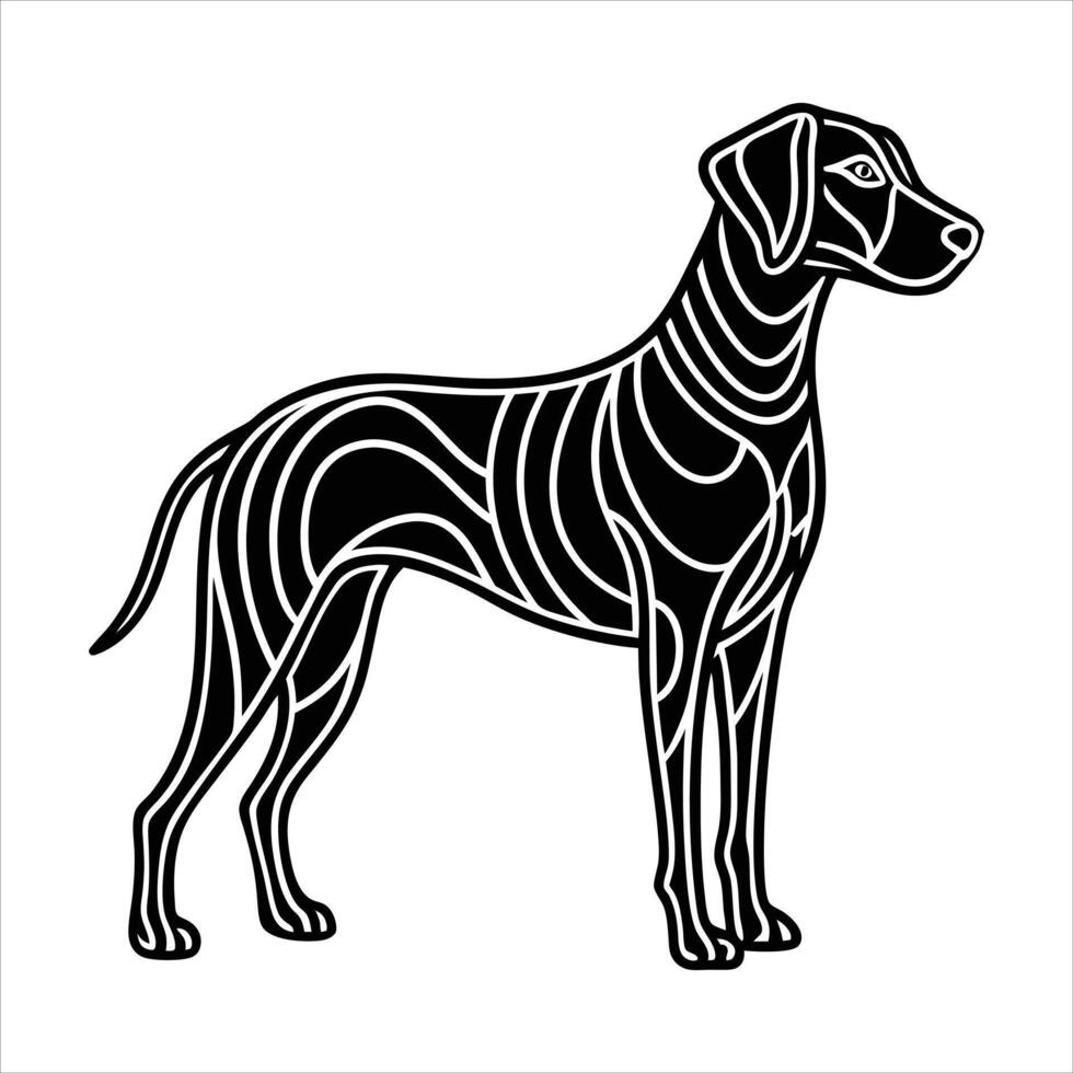 Vizsla Line Art Pictures vector
