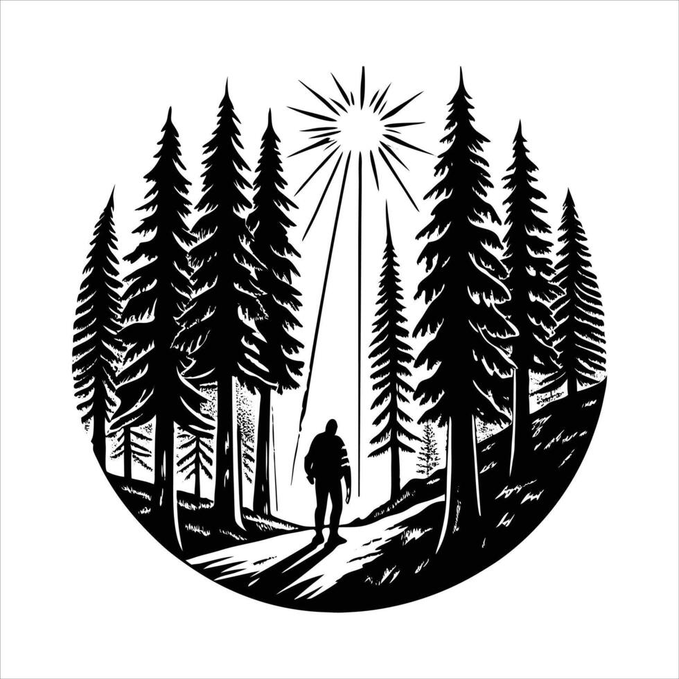 Pine forest with sunlight streaming vector