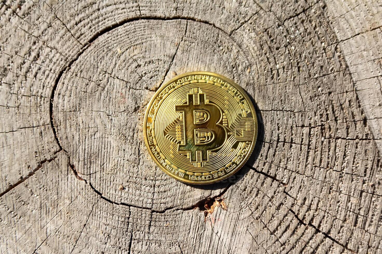 Single golden bitcoin is standing on the wooden surface. Busines photo