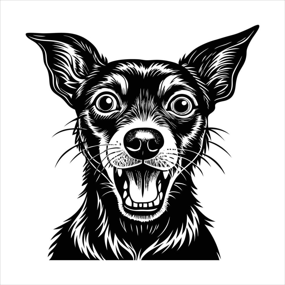 Australian Cattle Dog vector