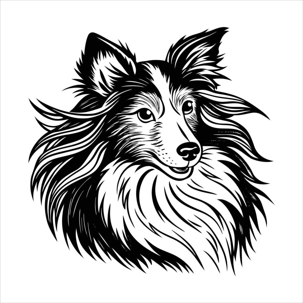 sheltie tilting head vector
