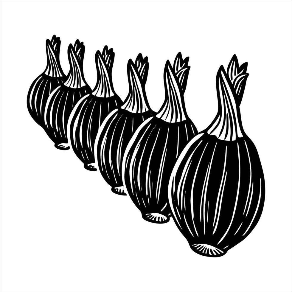 Handcrafted Onion Silhouette vector