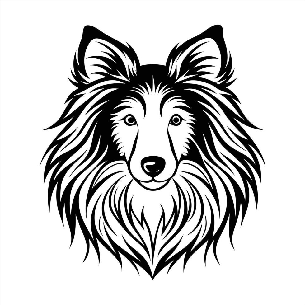 Rough Collie Dog Head vector