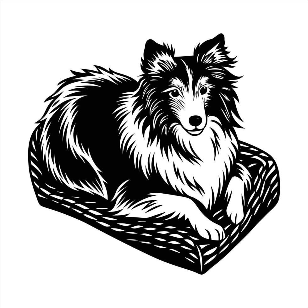 Buy Shetland Sheepdog in the Style vector