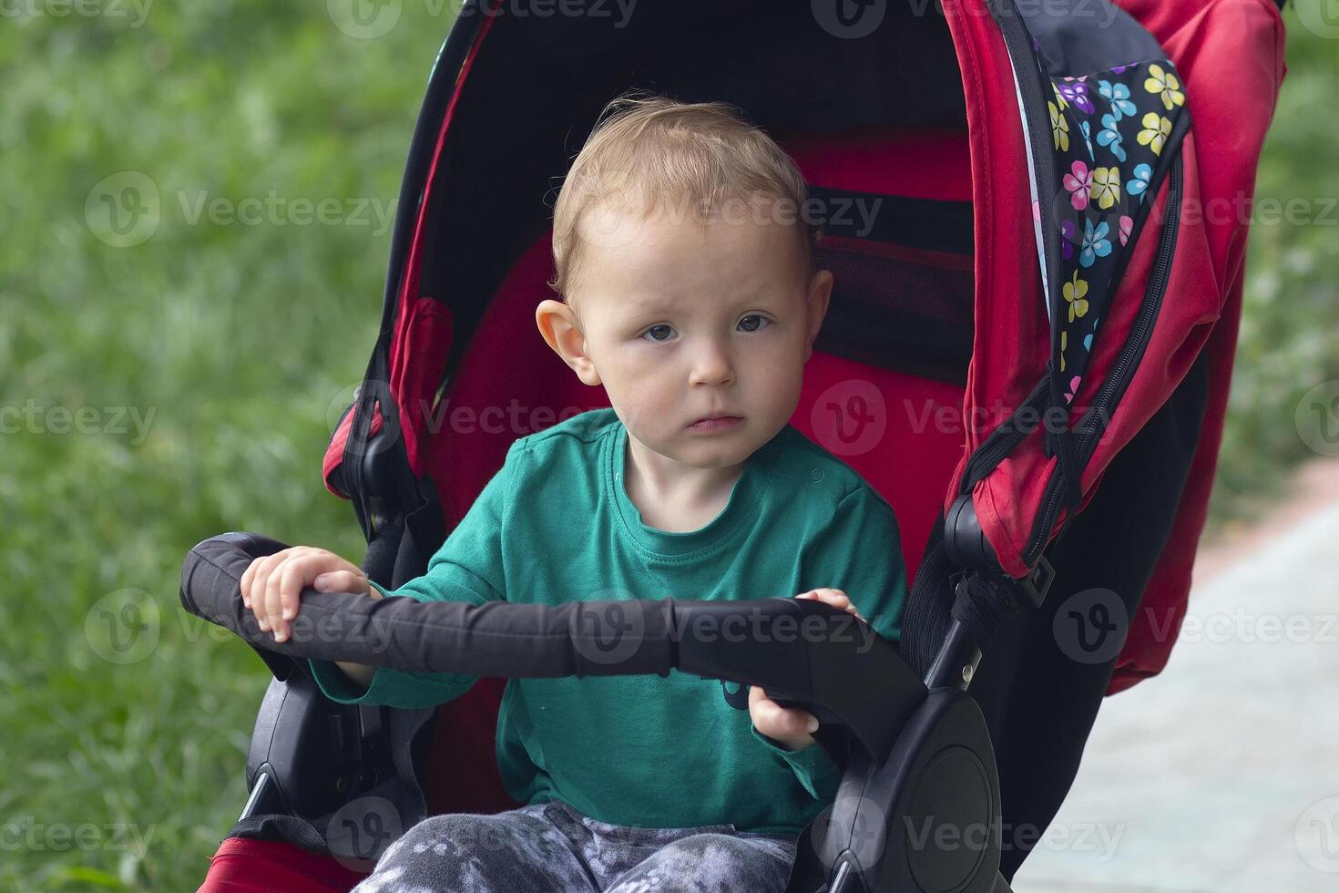 A small child in a stroller for a walk in the park photo