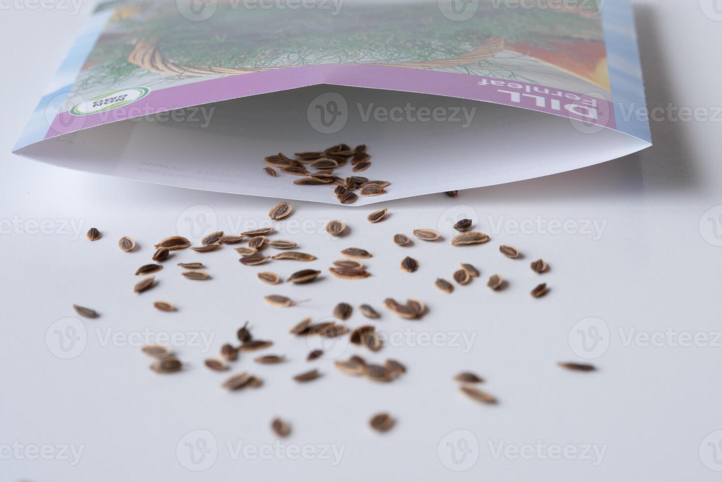 Fernleaf Dill Seeds Spilled from a Seed Packet photo