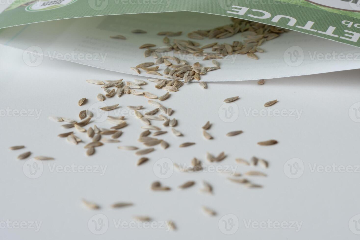 Bibb Lettuce Seeds Spilled from a Seed Packet photo