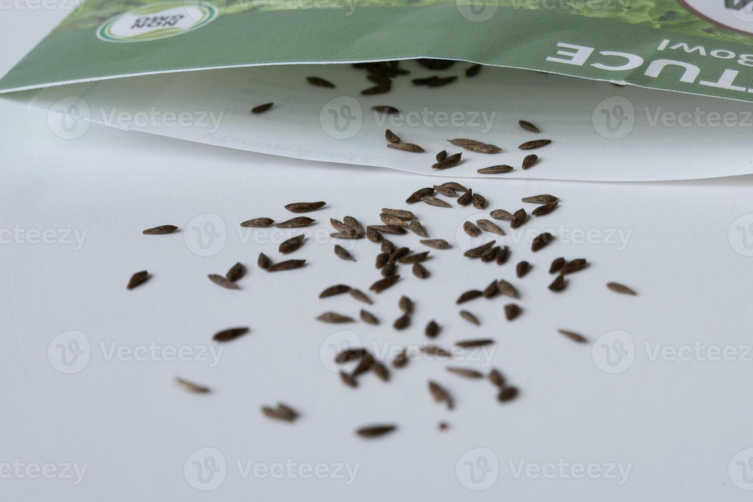 Salad Bowl Lettuce Seeds Spilled from a Seed Packet photo