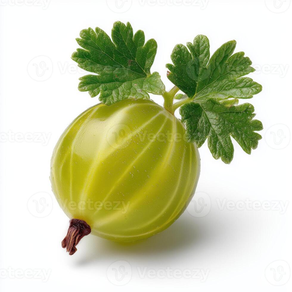 Realistic Gooseberry on White Background photo