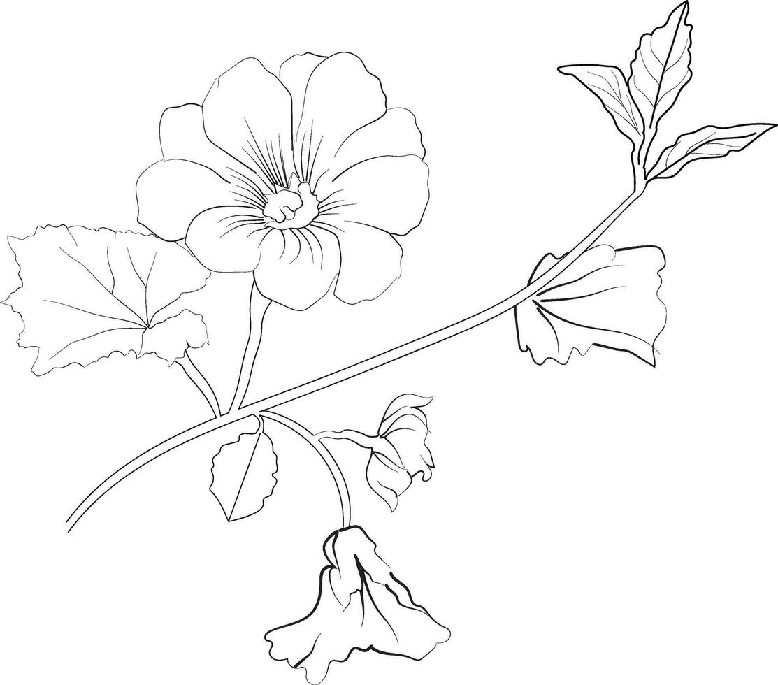 Flowers coloring pages, and book, sketch of Hollyhock flower drawing, Hand-drawn Hollyhock flower botanical leaf bud illustration engraved ink art style. Hollyhock flower sketch vector