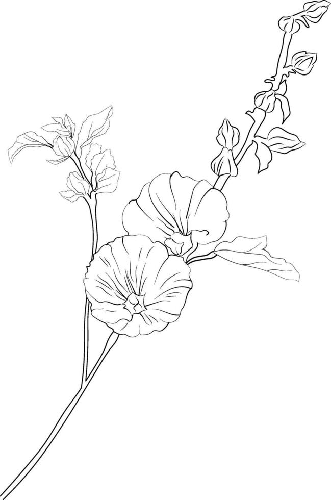 Hollyhock flower coloring book hand-drawn botanical spring elements, bouquet of Hollyhock flower,s line art, coloring page, sketch, artistic simplicity doodle art vector