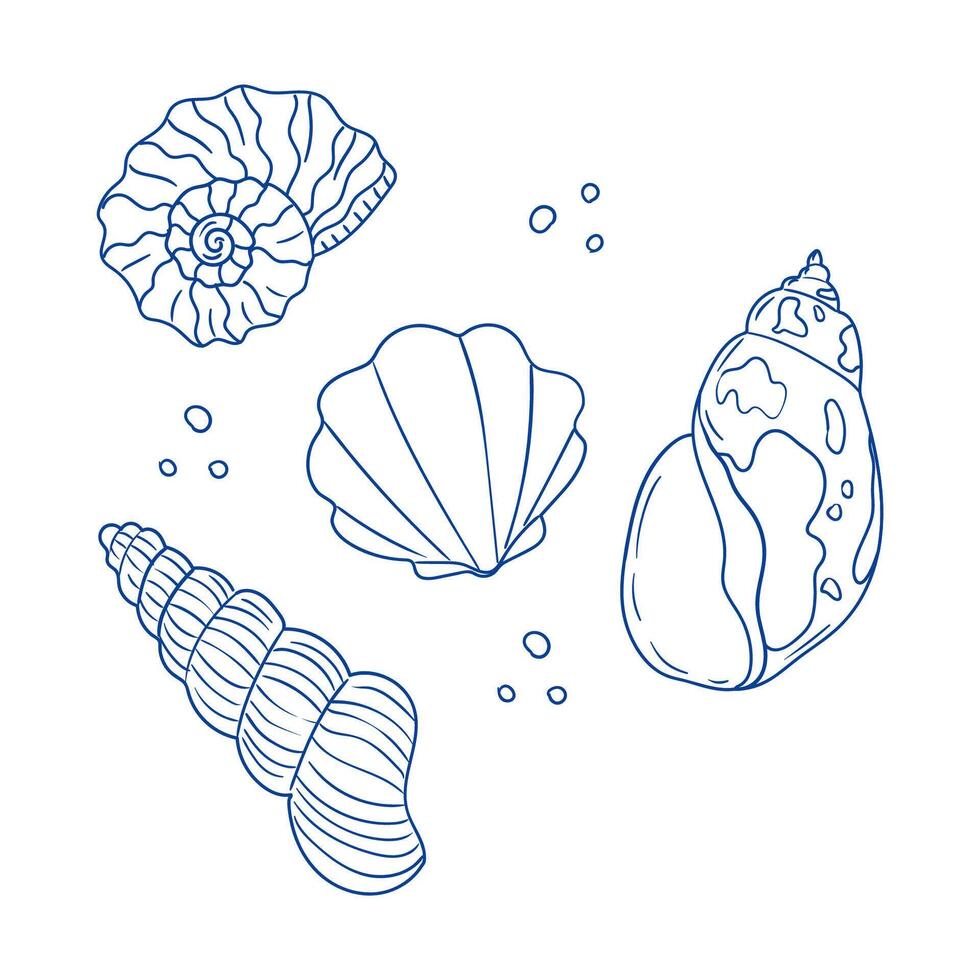 Various seashells arranged in a creative layout on a white background vector