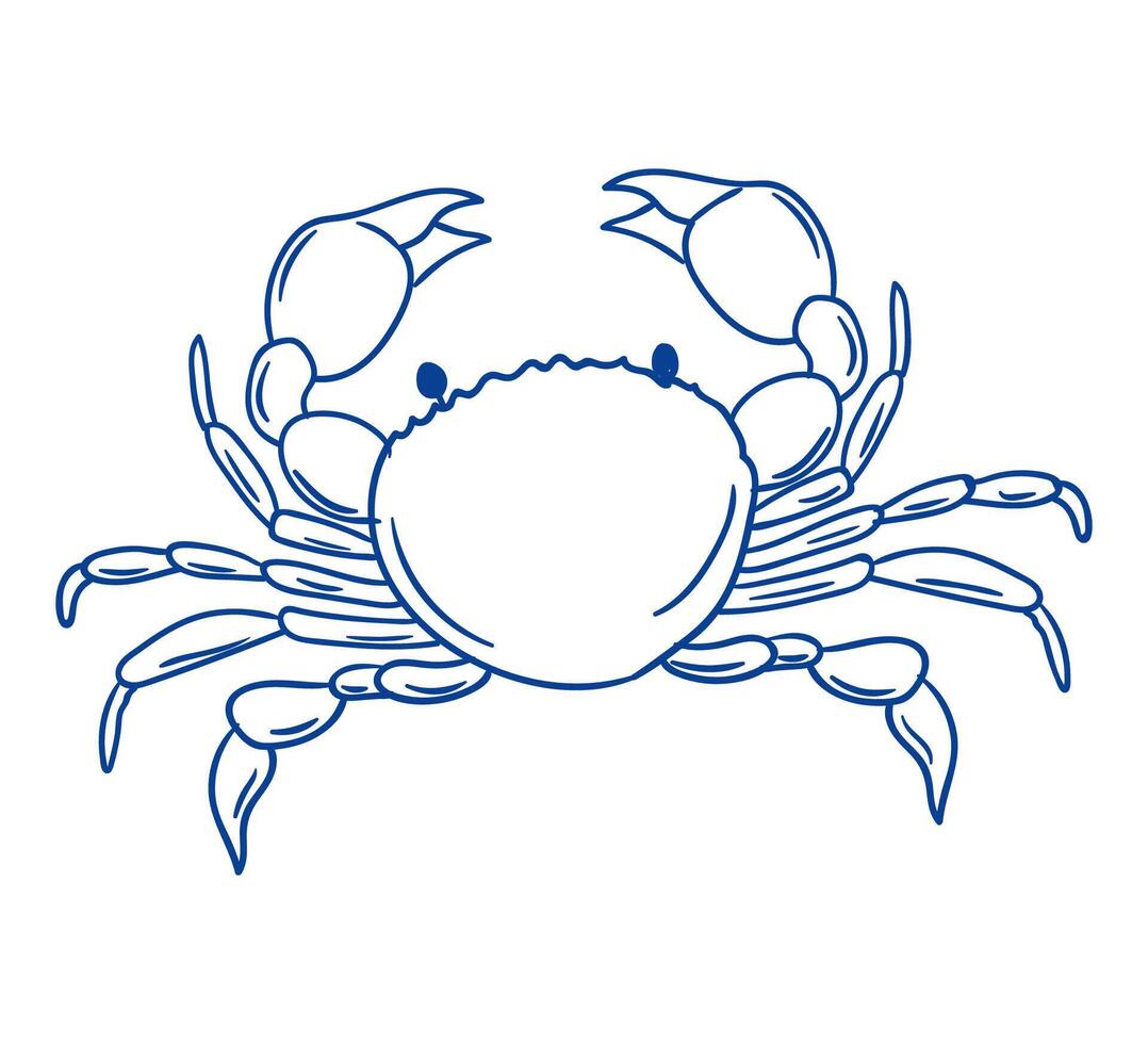 Crab illustration with detailed features showcasing its unique structure and design vector