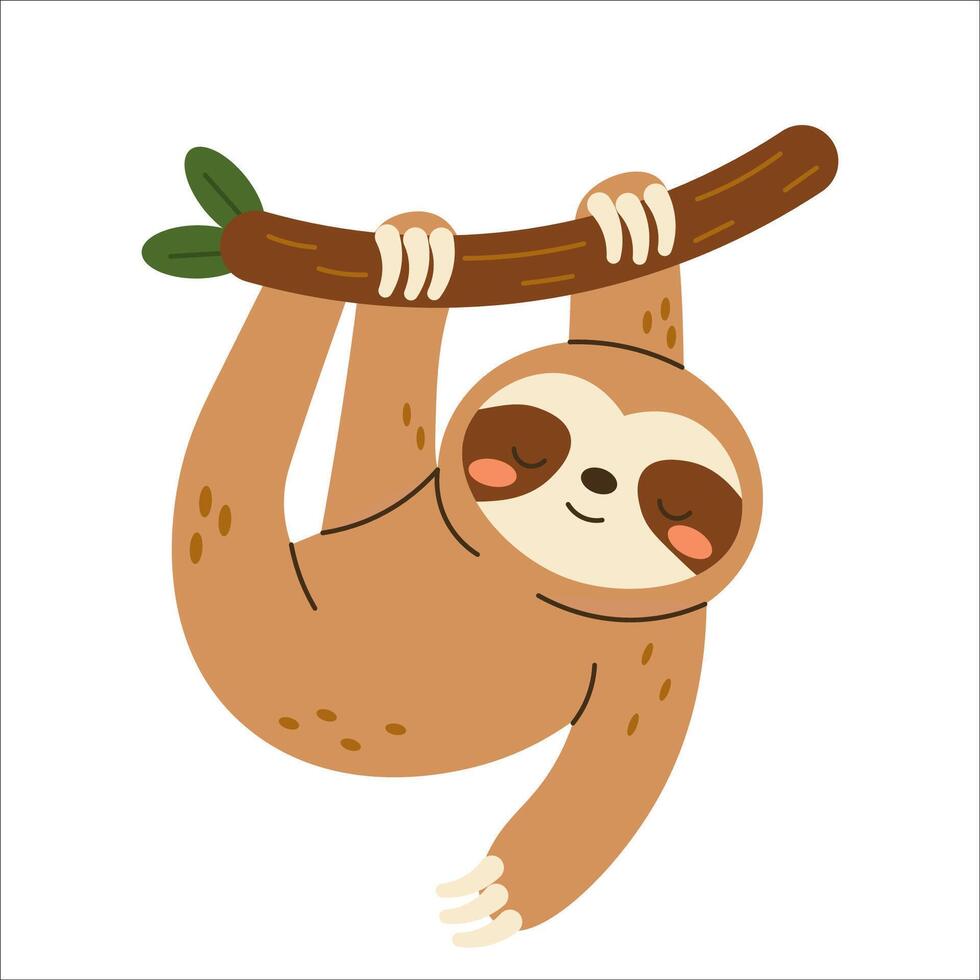 Flat style illustration of a cute sloth hanging from a tree branch, ideal for childrens books, educational materials, and jungle-themed design projects. vector