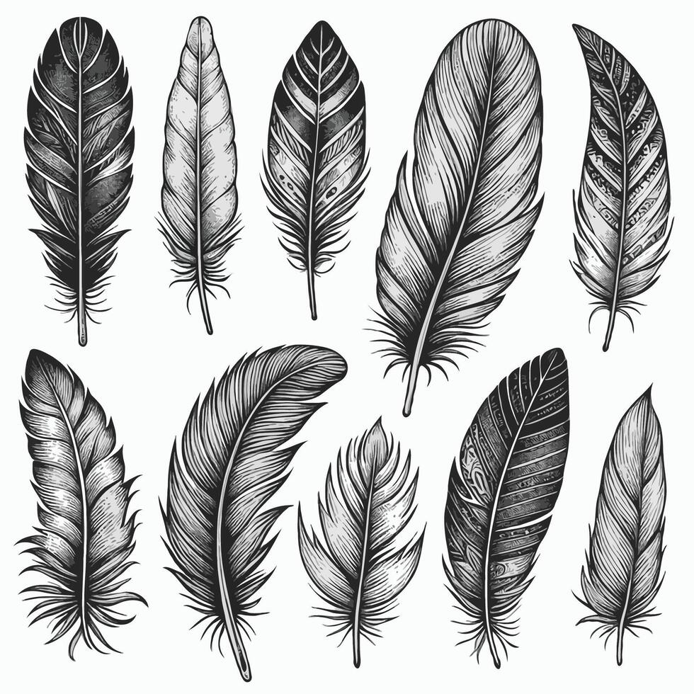 Hand drawn silhouettes feathers illustration isolated on white background. Feathers of the bird collection, quill seamless pattern vector