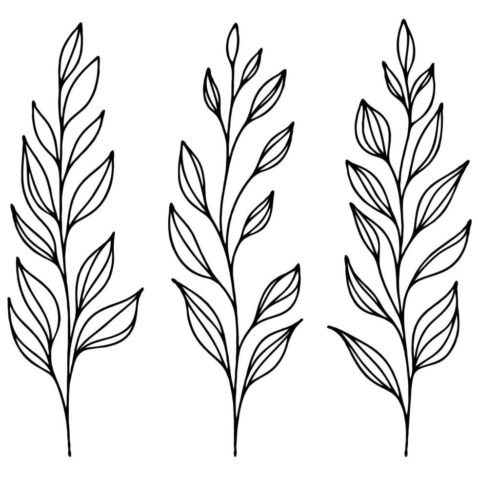 Hand drawn branches Botanical drawing. Simple line art frieze, stems illustration. Black and White Meadow leaf herbs. Stylized blooming twigs plants. Set of outline doodle floral sketch Leaves border vector