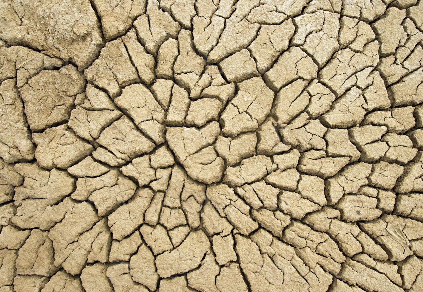 Cracked earth, texture photo